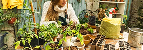 Indoor Live Herb Garden & Plant Seed Starter Kit - DIY Transplanting Kit for Beginners & Kids | Includes Seeds, Soil, Pots, Markers, Instructions, & Grinder | Parsley, Basil, Cilantro, & Chive Seeds