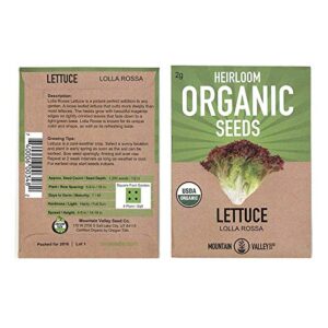leaf lettuce garden seeds – lollo rosso – 2 gram packet, non-gmo vegetable leafy green gardening seeds