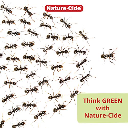 Nature-Cide Aerosol Can. All Natural Roach Killer, Spider, Mosquito and Ant Spray to Keep Your Home Safe. Kills on Contact. No Strong Odor.