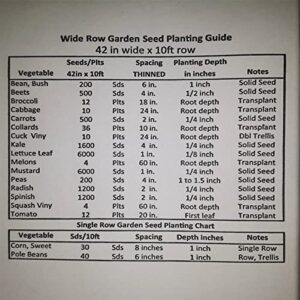 PAPAW'S GARDEN SUPPLY LLC. HELPING THE NEXT GENERATION GROW! Heat Master Hybrid Tomato Seeds, Non-GMO, 1 Pack of 20 Seeds