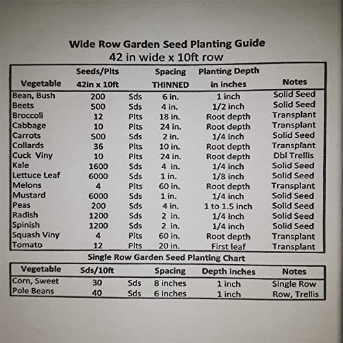 PAPAW'S GARDEN SUPPLY LLC. HELPING THE NEXT GENERATION GROW! Heat Master Hybrid Tomato Seeds, Non-GMO, 1 Pack of 20 Seeds