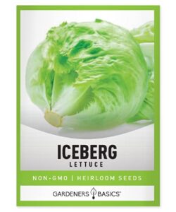 iceberg lettuce seeds for planting – (head) heirloom, non-gmo vegetable variety- 2 grams seeds great for spring, summer, fall, winter garden and hydroponics by gardeners basics