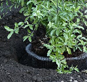 RootGuardTM Speed Baskets, Gopher Wire Baskets. (1-Quart Mini - 6 Pack)