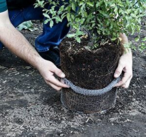 RootGuardTM Speed Baskets, Gopher Wire Baskets. (1-Quart Mini - 6 Pack)