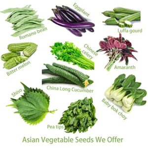 Cilantro Seeds for Planting-Slow Bolt,香菜.Non GMO Seeds for Sprouting,Herb Seeds for Planting Home Garden and Hydroponic Pods(100 Slow Bolt Cilantro Seeds for Planting,1g) USA