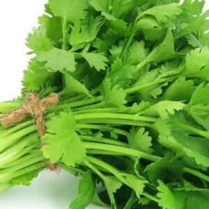 Cilantro Seeds for Planting-Slow Bolt,香菜.Non GMO Seeds for Sprouting,Herb Seeds for Planting Home Garden and Hydroponic Pods(100 Slow Bolt Cilantro Seeds for Planting,1g) USA