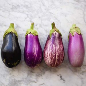 Seeds4planting - Seeds Eggplant Aubergine Long Mix Rare Thai Heirloom Vegetable Non GMO