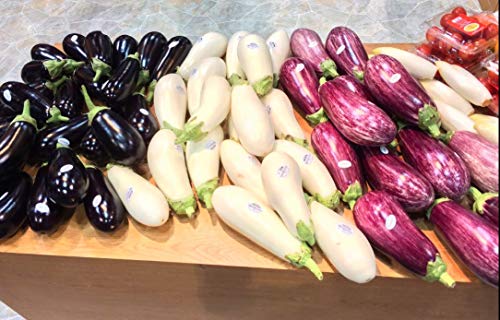 Seeds4planting - Seeds Eggplant Aubergine Long Mix Rare Thai Heirloom Vegetable Non GMO