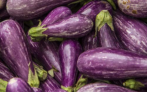 Seeds4planting - Seeds Eggplant Aubergine Long Mix Rare Thai Heirloom Vegetable Non GMO