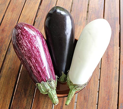 Seeds4planting - Seeds Eggplant Aubergine Long Mix Rare Thai Heirloom Vegetable Non GMO