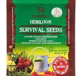 Heirloom Vegetable Seeds Non GMO Survival Seed Kit - Part of Our Legacy and Heritage - 50 Varieties 100% Naturally Grown- Best for Gardeners Who Raise Their Own Healthy Food