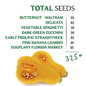 Seedra.US 6 Squash Seeds Variety Pack - 325+ Non GMO, Heirloom Seeds for Indoor Outdoor Home Garden - Summer and Winter Squash Seeds, Zucchini Seeds + Eggplant Seeds