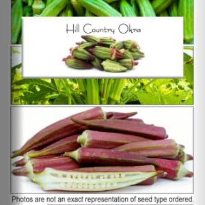 Hill Country Red Okra Seeds for Planting, 100+ Heirloom Seeds Per Packet, (Isla's Garden Seeds), Non GMO Seeds, Botanical Name: Abelmoschus esculentus, Great Home Garden Gift