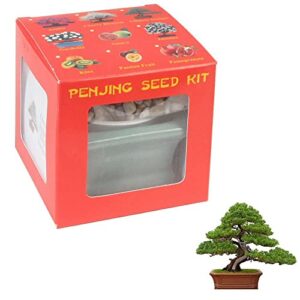 Eve's Garden Juniper Penjing Seed Kit, The Chinese Art of Bonsai. Complete Kit to Grow Chinese Juniper from Seed
