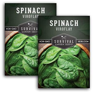 survival garden seeds – viroflay spinach seed for planting – packet with instructions to plant and grow nutritious leafy greens in your home vegetable garden – non-gmo heirloom variety – 2 pack