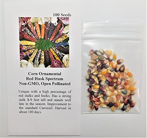 David's Garden Seeds Popcorn Red Husk Spectrum 7567 (Multi) 100 Non-GMO, Heirloom Seeds