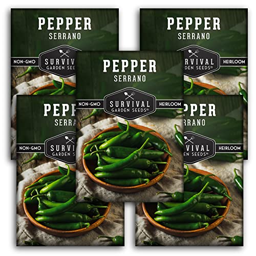 Survival Garden Seeds - Serrano Pepper Seed for Planting - 5 Packs with Instructions to Plant and Grow Spicy Mexican Peppers in Your Home Vegetable Garden - Non-GMO Heirloom Variety