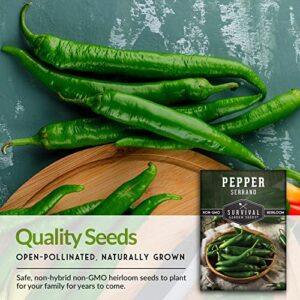 Survival Garden Seeds - Serrano Pepper Seed for Planting - 5 Packs with Instructions to Plant and Grow Spicy Mexican Peppers in Your Home Vegetable Garden - Non-GMO Heirloom Variety