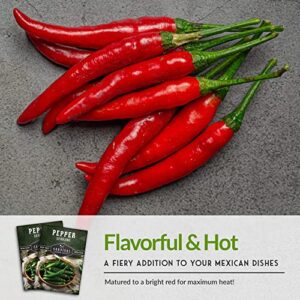 Survival Garden Seeds - Serrano Pepper Seed for Planting - 5 Packs with Instructions to Plant and Grow Spicy Mexican Peppers in Your Home Vegetable Garden - Non-GMO Heirloom Variety