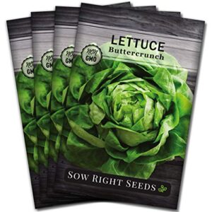 sow right seeds – buttercrunch lettuce seed for planting – non-gmo heirloom packet with instructions to plant a home vegetable garden, indoors or outdoor; great gardening gift (4)