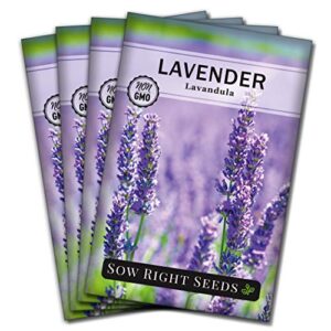 sow right seeds – lavender seeds for planting; non-gmo heirloom seeds with instructions to plant and grow a beautiful indoor or outdoor herb garden; great gardening gift (4)