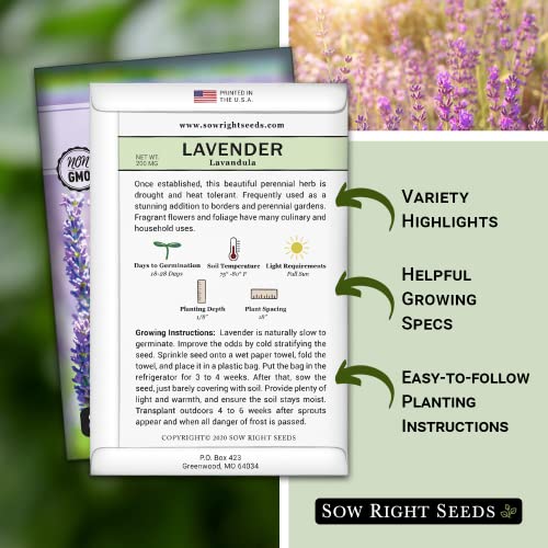 Sow Right Seeds - Lavender Seeds for Planting; Non-GMO Heirloom Seeds with Instructions to Plant and Grow a Beautiful Indoor or Outdoor herb Garden; Great Gardening Gift (4)