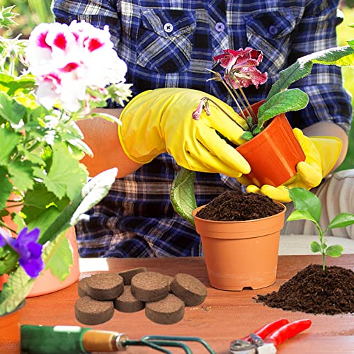 ZeeDix 50pcs (30mm) Coco Coir Pellets Organic Potting Soil for Planting Compressed Coco Coir Soil Coconut Soil Seed Starters for Indoors or Outdoors Bonsai Herbs Plants Flowers and Vegetables