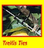 Klipon Doyle's Thornless BlackBerry Recommends Trellis Ties 4 Inch 100 Pack