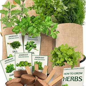 Medicinal Herbs Starter Kit - Non GMO, Heirloom Seeds - Basil, Parsley, Cilantro (Coriander), Oregano, Dill - Includes Pots, Soil, Bamboo Plant Markers - Gardening Gift