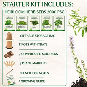 Medicinal Herbs Starter Kit - Non GMO, Heirloom Seeds - Basil, Parsley, Cilantro (Coriander), Oregano, Dill - Includes Pots, Soil, Bamboo Plant Markers - Gardening Gift