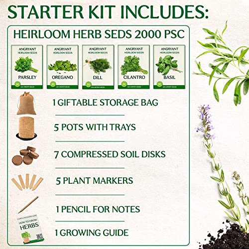 Medicinal Herbs Starter Kit - Non GMO, Heirloom Seeds - Basil, Parsley, Cilantro (Coriander), Oregano, Dill - Includes Pots, Soil, Bamboo Plant Markers - Gardening Gift