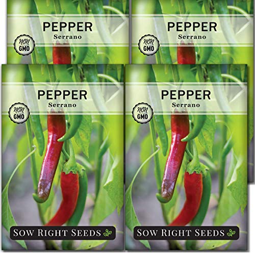 Sow Right Seeds - Serrano Hot Pepper Seed for Planting - Non-GMO Heirloom Packet with Instructions to Plant an Outdoor Home Vegetable Garden - Great Gardening Gift (4)