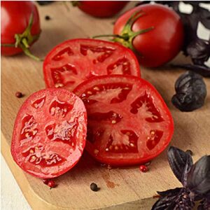 better bush tomato seeds (20+ seeds) | non gmo | vegetable fruit herb flower seeds for planting | home garden greenhouse pack