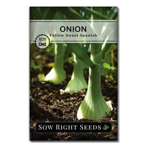 sow right seeds – yellow spanish onion seed for planting – non-gmo heirloom packet with instructions to plant a home vegetable garden