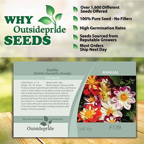 Outsidepride Dahlia Dandy Garden Cut Flower Seed Mix Great for Bouquets & Dried Floral Arrangements - 500 Seeds