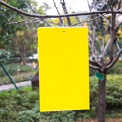 BestTrap ST2035 Sticky Traps, Flying Traps for Fruit Fly, Fungus Gnats, Aphids, Other Flying Insects, 6x8 Inch, 20 Pack - Yellow