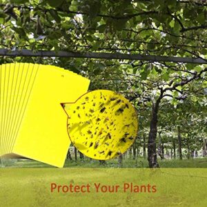 BestTrap ST2035 Sticky Traps, Flying Traps for Fruit Fly, Fungus Gnats, Aphids, Other Flying Insects, 6x8 Inch, 20 Pack - Yellow