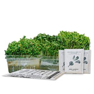 self-watering microgreens growing kit – 3 micro greens from organic non-gmo seeds – window garden or counter top – 3 biodegradable bamboo seed sprouting pads + microgreen tray + grow guide