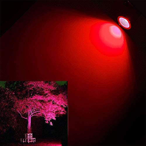 Ygapuzi 5W LED Landscape Lights 12V Low Voltage Spotlights Decorative Walls Trees Flags Outdoor Lighting for Driveway, Yard, Lawn, Patio, Swimming Pool, Garden, with Stakes, Pack of 2 (Red)