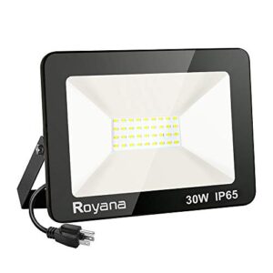 royana 30w led flood light outdoor with plug, ip65 waterproof led work lights, 6000k 3000lm super bright security light, portable daylight white floodlight spotlight for yard garden court lawn