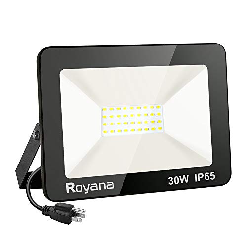 Royana 30W LED Flood Light Outdoor with Plug, IP65 Waterproof LED Work Lights, 6000K 3000LM Super Bright Security Light, Portable Daylight White Floodlight Spotlight for Yard Garden Court Lawn