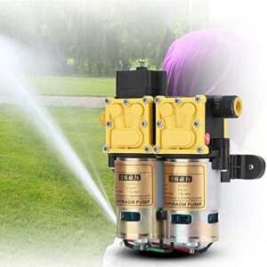 Fdit 12V Portable High Pressure Self-Priming Quick Car Washer Electric Car Washer Auto Wash Pump High Pressure Washer Pump for Vehicles Garden and Home