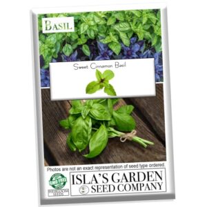 "Sweet Cinnamon" Basil Herb Seeds for Planting, 500+ Heirloom Seeds Per Packet, (Isla's Garden Seeds), Non GMO Seeds, Botanical Name: Ocimum basilicum 'Cinnamon', Great Home Garden Gift