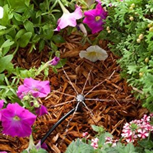 Rain Bird MBF4PKS Drip Irrigation Micro-Bubbler on Stake, 360° Full Circle Pattern, 0 - 3' Spray Distance, 4-Pack,Black