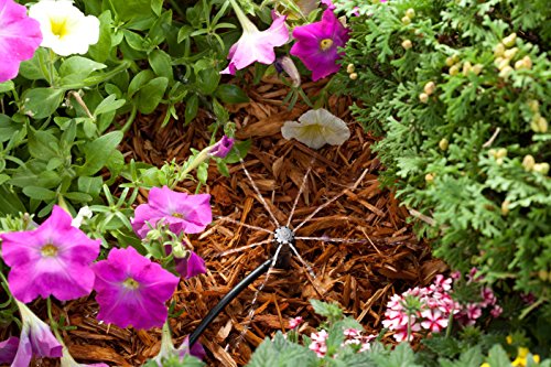 Rain Bird MBF4PKS Drip Irrigation Micro-Bubbler on Stake, 360° Full Circle Pattern, 0 - 3' Spray Distance, 4-Pack,Black