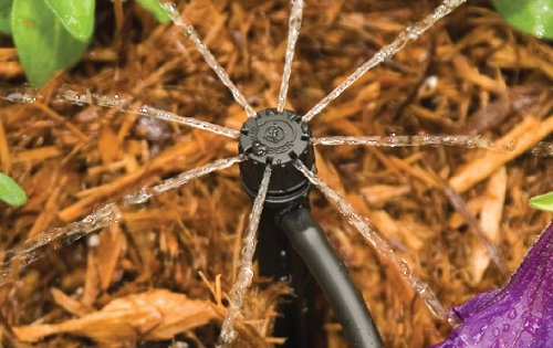 Rain Bird MBF4PKS Drip Irrigation Micro-Bubbler on Stake, 360° Full Circle Pattern, 0 - 3' Spray Distance, 4-Pack,Black