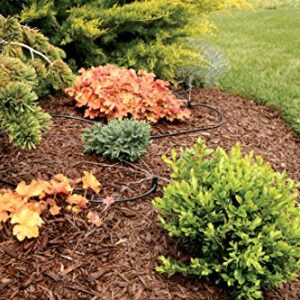 Rain Bird MBF4PKS Drip Irrigation Micro-Bubbler on Stake, 360° Full Circle Pattern, 0 - 3' Spray Distance, 4-Pack,Black