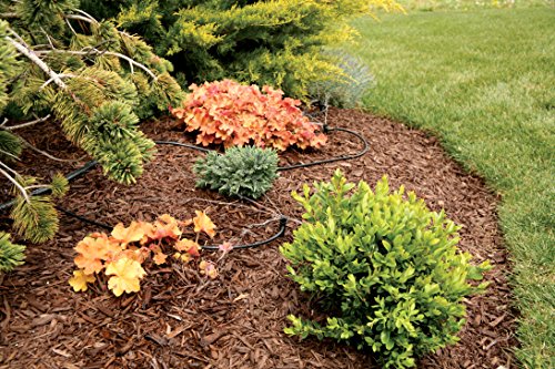 Rain Bird MBF4PKS Drip Irrigation Micro-Bubbler on Stake, 360° Full Circle Pattern, 0 - 3' Spray Distance, 4-Pack,Black