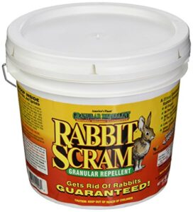 enviro pro 11006 rabbit scram repellent granular white pail, 6 pounds