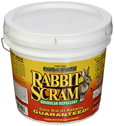 Enviro Pro 11006 Rabbit Scram Repellent Granular White Pail, 6 Pounds